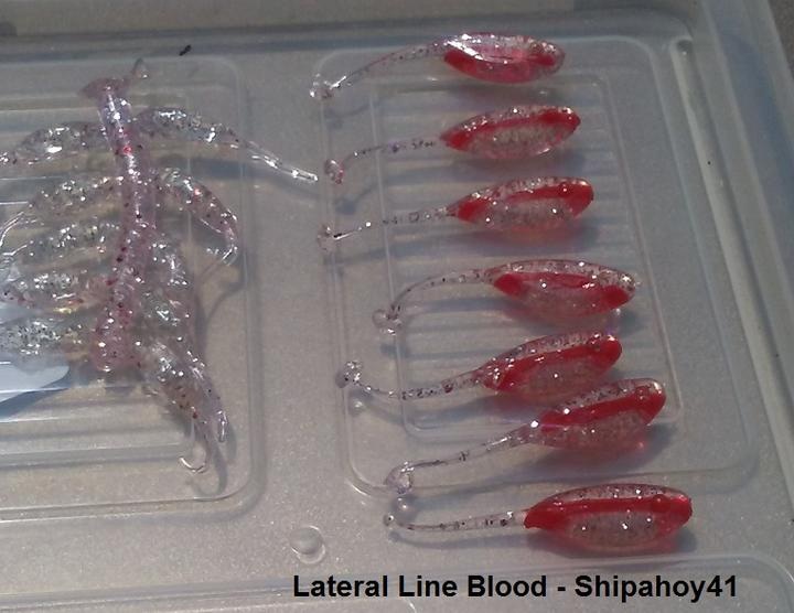 Name:  lateral line blood.jpg
Views: 596
Size:  88.4 KB