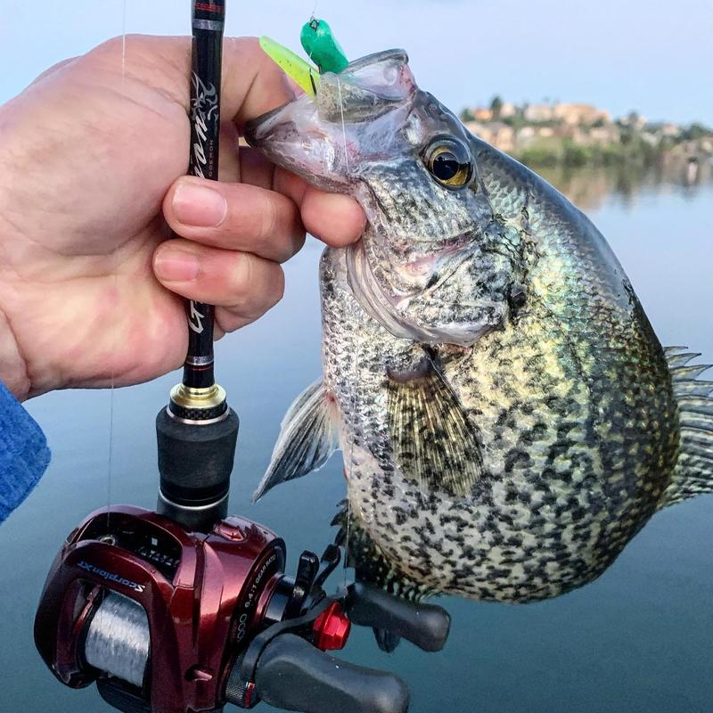 Dropshot hook for crappie.