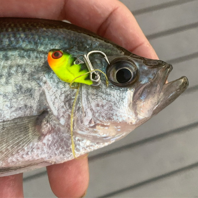 New lure for crappie.