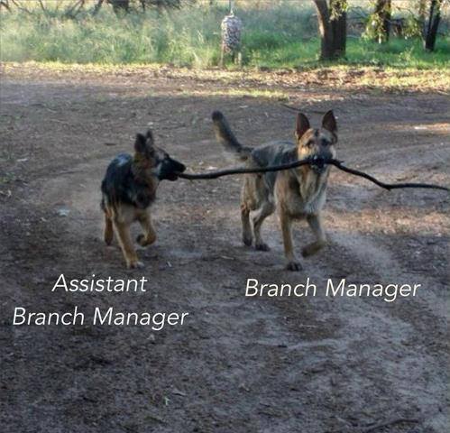 Name:  BranchManagers.jpg
Views: 669
Size:  44.7 KB