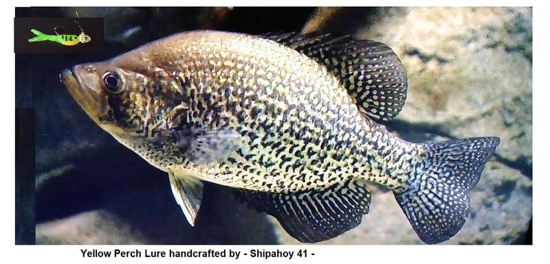 Name:  A Crappie Eating.jpg
Views: 688
Size:  65.6 KB