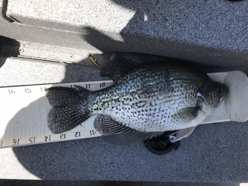 https://www.crappie.com/crappie/attachments/main-crappie-fishing-forum/394679d1613411180-measuring-devices-img_1122-jpg