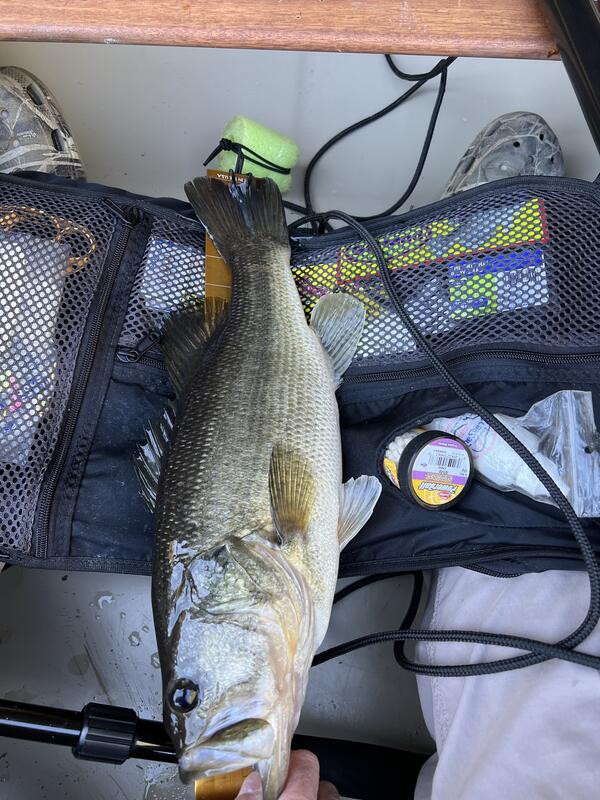 Vicious Fishing 4# Panfish Line, Lo-Vis Green, 1/4 lb. 