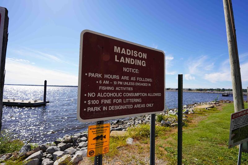 Name:  Madison Landing on Barnett Reservoir in Ridgeland, MS.jpg
Views: 499
Size:  85.5 KB