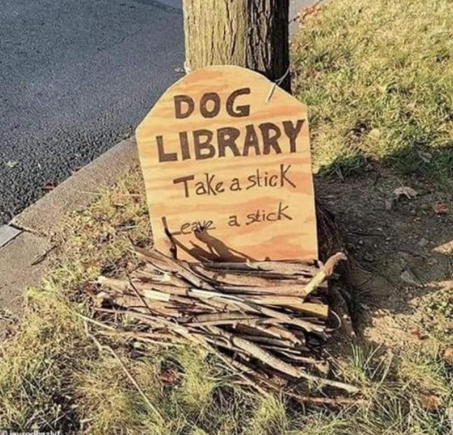 Name:  Dog library.jpg
Views: 1772
Size:  98.0 KB
