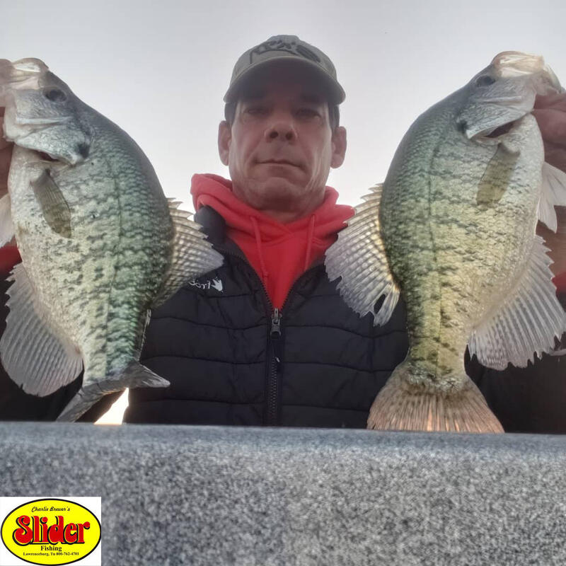 Name:  Kevin McCarley with crappie 1.jpg
Views: 408
Size:  98.1 KB