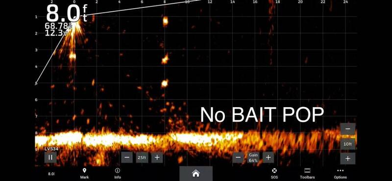Bait pop for liveview sonar