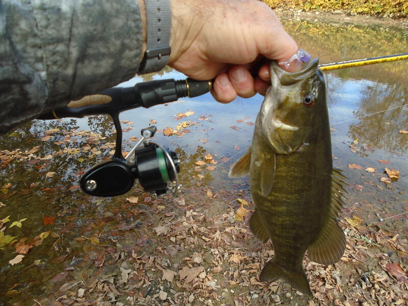 Fishing with Z-Man Micro Finesse Lures - Part 2 - The Cold Creek