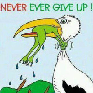 Name:  Never give up.jpg
Views: 67
Size:  52.6 KB