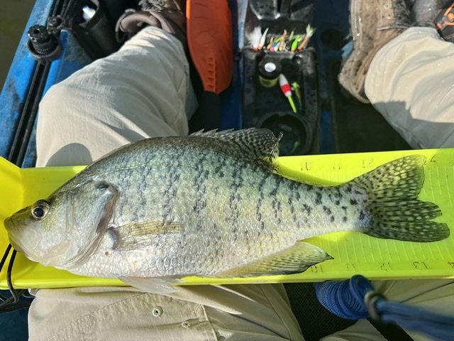 https://www.crappie.com/crappie/attachments/main-crappie-fishing-forum/477870d1702859579-looking-recommendation-bump-board-fish-measure-c22b804e-9221-44d8-b7a1-7f4267be2f11-jpeg