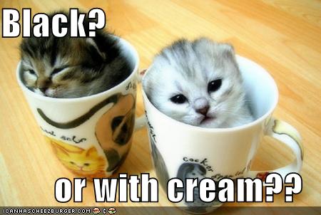 Name:  funny-pictures-kittens-coffee-cups.jpg
Views: 241
Size:  27.4 KB