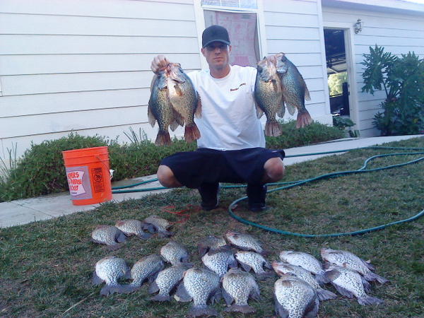 Name:  kyle crappie front yard.jpg
Views: 4095
Size:  62.1 KB