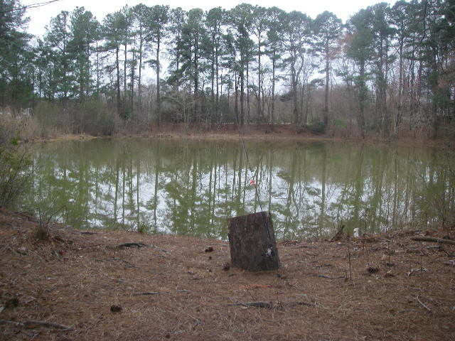 Name:  3-12-17 Bob's Pond.JPG
Views: 633
Size:  135.3 KB