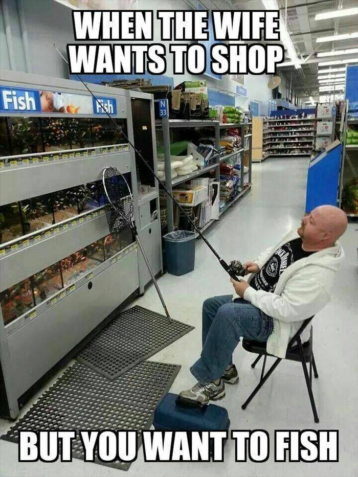 Name:  455c0dc7e7f6d792dd3c37e1bfba7cb3--funny-fishing-pictures-walmart-funny-pictures.jpg
Views: 184
Size:  115.4 KB