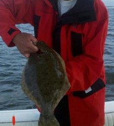 Name:  20 inch Flounder cropped.jpg
Views: 166
Size:  11.8 KB
