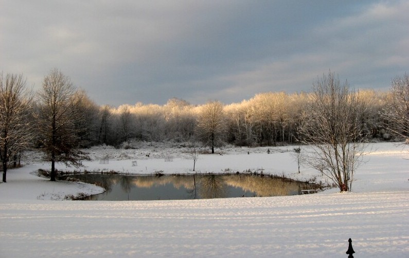 Name:  pond snow sunrise.jpg
Views: 166
Size:  102.5 KB