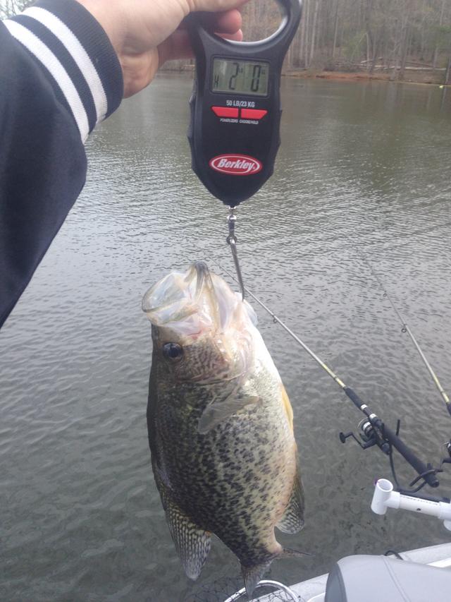 Name:  6th annual crappie photo.jpg
Views: 362
Size:  77.0 KB