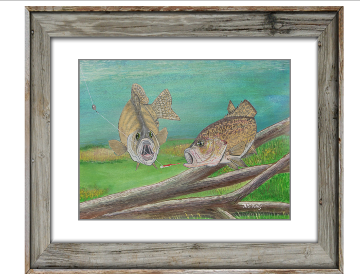 Name:  Framed Crappie Art 740.png
Views: 859
Size:  753.3 KB