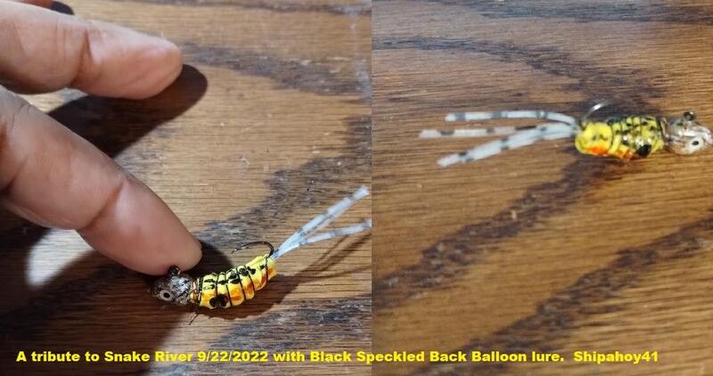 Name:  Black Speckled Back Balloon Lure.jpg
Views: 101
Size:  53.6 KB