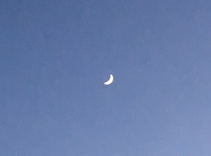 Name:  Crescent moon in a blue sky.jpg
Views: 280
Size:  55.6 KB