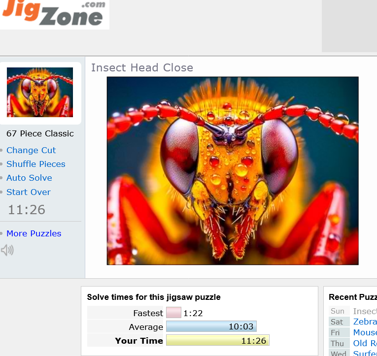 Name:  Screenshot 2023-09-17 at 09-29-40 Insect Head Close Jigsaw Puzzle.png
Views: 63
Size:  499.2 KB
