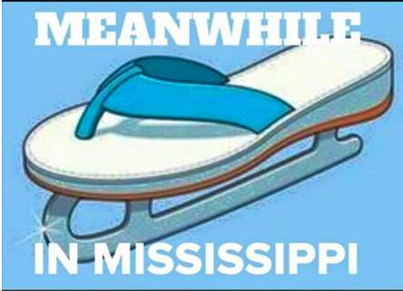 Name:  Mississippi Iceskates.jpg
Views: 138
Size:  22.0 KB
