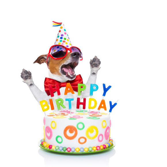 Name:  Happy-Birthday-Dog-Singing-580x580.jpg
Views: 103
Size:  61.7 KB