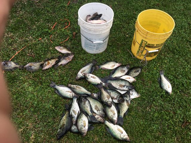 Name:  Fishing Okeechobee 2016 028.jpg
Views: 245
Size:  90.5 KB