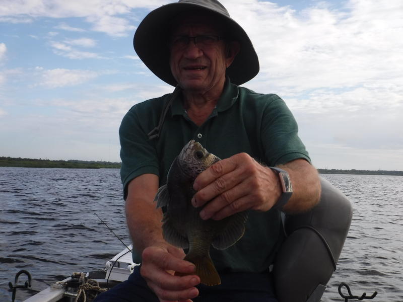 Name:  bluegill fishig with Bob 6-10-19.jpg
Views: 567
Size:  52.2 KB