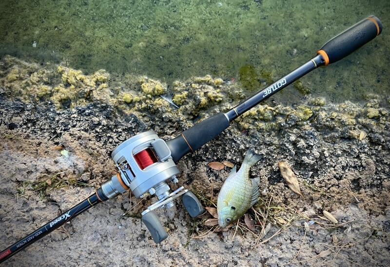 First Baitcaster recommendation? : r/FishingForBeginners