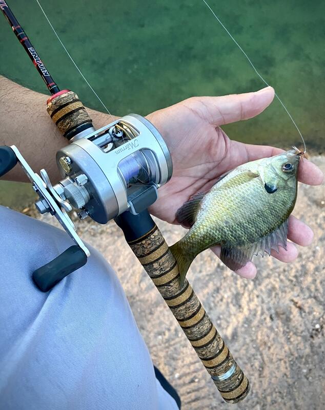 Keep it light, let em' fight! Been getting into Bait Finesse System (BFS)  recently and it's been so much fun! Ultra light rod, lig
