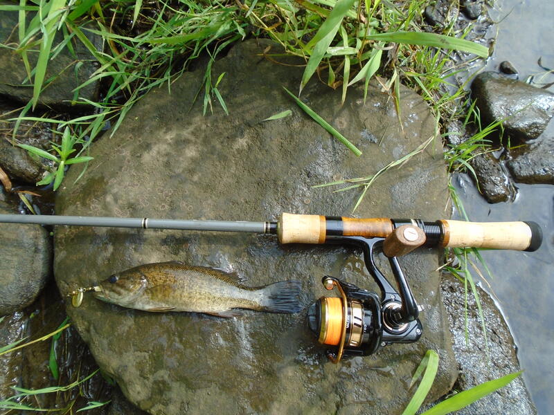 Small creek fishing 7/25/23