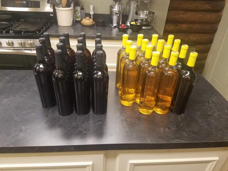Name:  Bottled Up Another 30 Bottles of Wine.jpg
Views: 65
Size:  66.6 KB