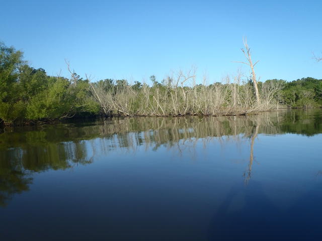 Name:  Saluda River Lake Murray 013.jpg
Views: 414
Size:  32.0 KB
