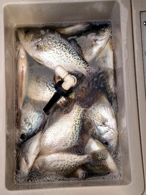 Name:  26 crappie.png
Views: 374
Size:  494.8 KB