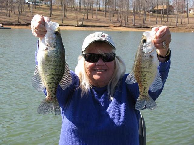 https://www.crappie.com/crappie/attachments/tennessee/153982d1394551570-chickamauga-lake-wolftever-creek-3-10-14-a-wolftever-white-crappie-jpg