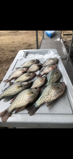 Name:  Crappie032919.jpg.PNG
Views: 500
Size:  728.3 KB