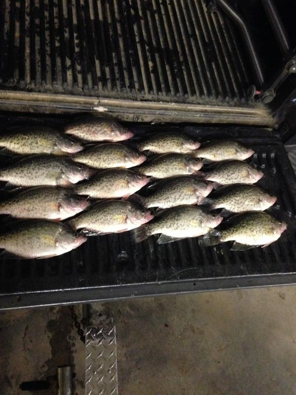 Name:  CRAPPIE oct.jpg
Views: 380
Size:  73.9 KB