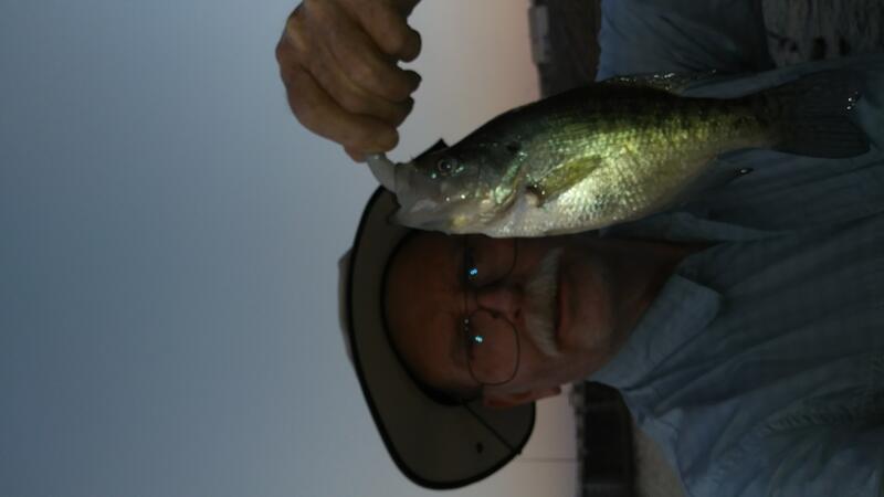 Name:  crappie 101520 1st crappie 10 inch.jpg
Views: 498
Size:  20.1 KB