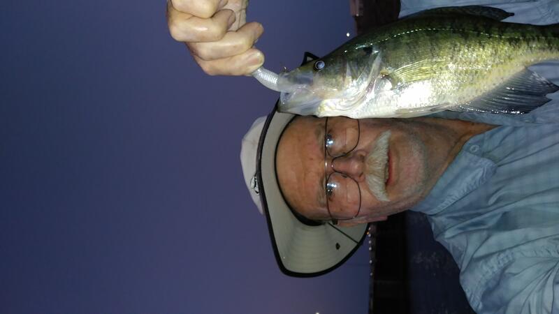 Name:  crappie 101520 2nd 11-5 inch.jpg
Views: 431
Size:  31.0 KB
