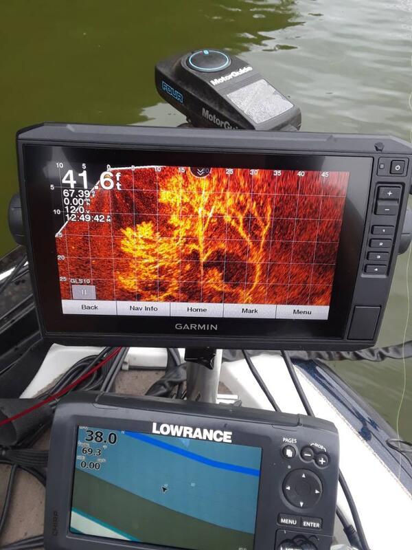 LiveScope's 'Perspective' shines new light on fishing electronics