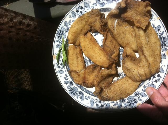 Name:  fried crappie.jpg
Views: 251
Size:  51.1 KB
