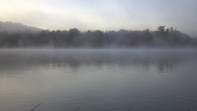 Name:  Morning fog.jpg
Views: 244
Size:  13.5 KB