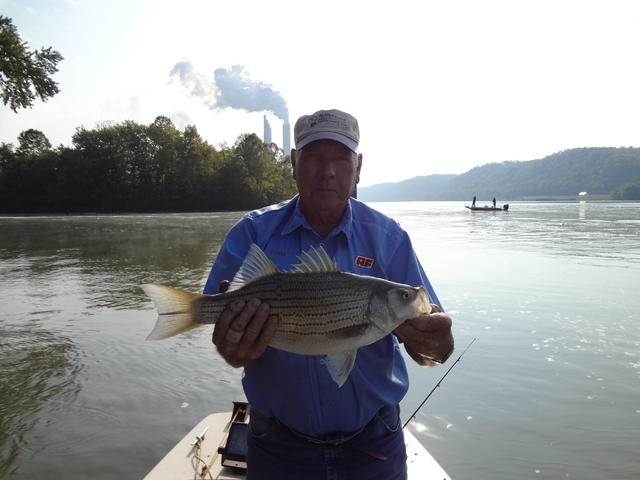 Name:  Raymond fishing trip 012.jpg
Views: 635
Size:  35.9 KB