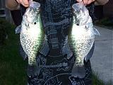 The Best Crappie Lure Available!!!!!!!!!!