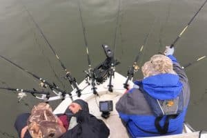 Read more about the article Spider Rigging How To Guide