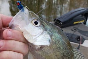 Read more about the article Woolen lake