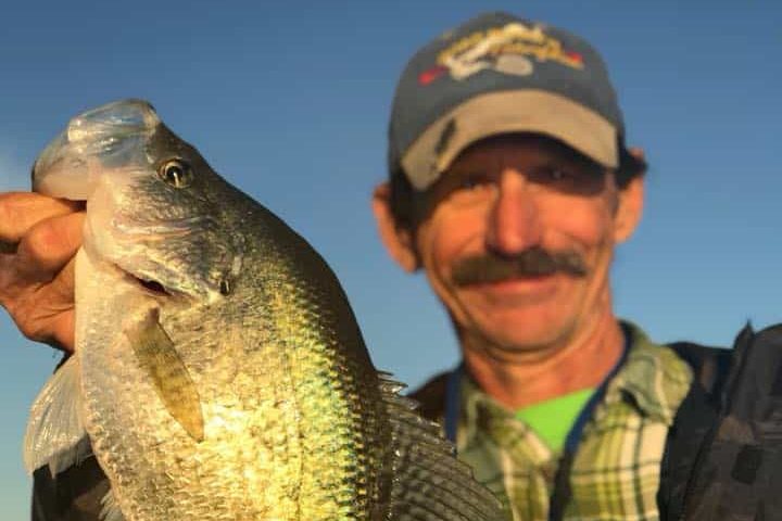 Read more about the article It’s A Crappie World