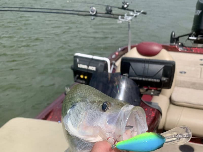 Read more about the article Pulling Cranks by Brad Wiegmann
